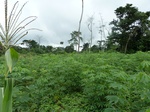 20245P1020100.JPG