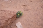 2017-05-07_18-07-44_2017-03-13 17.46.00.jpg