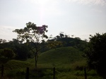 5619100_1046.JPG