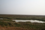4518IMG_8747.JPG