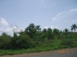 8849nigeria 056.jpg