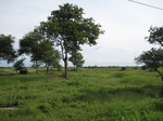 15562IMG_4632.JPG