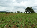 18835P1000674.JPG