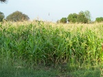 1771622042008(93).JPG