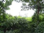 2384R0015318_small.jpg