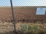 39219HOLL20110719N.JPG