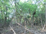 2012-09-21_16-12-24_CIMG3003.JPG