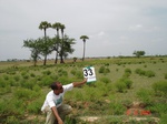 6191033b-irrigated-supplemental-tank-rice-singlecrop.jpg