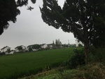 2017-09-10_20-45-07_3034B633-11C3-4B57-AA7D-4C525ABAA91A.jpg