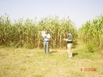 6460gt009-cropland-2.jpg