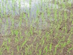 2012-09-07_10-02-13_CIMG6619.JPG