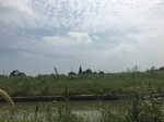2017-09-12_12-43-03_221812D2-946F-42F8-8527-F3808AB62B14.jpg