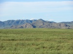 37978CIMG1786.JPG
