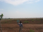 7847gt060b-fallow-farms-very-very-dry.jpg
