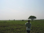 9829gt0124b-farm-fallow-with-crops-nagarjun-sagar-left-bank.gif