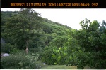 40432ANH301.JPG