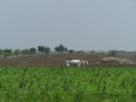 517823042008(26).JPG