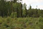2018-04-14_13-44-15_2017-06-10 07.26.39.jpg