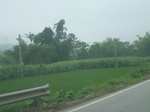 2012-09-08_20-00-44_RIMG0023.JPG