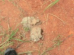 2012-09-07_10-14-09_CIMG6662.JPG