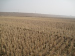 8420IMG_0245.JPG