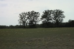 2022-05-26_13-54-48_E33AA962-E2B0-4365-B1E6-CE72425512C0.jpeg