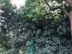 2017-09-12_11-11-16_01F5F14D-2B08-4D64-9747-A4B97B89C2CF.jpg