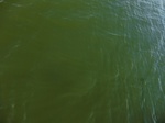 2012-09-21_14-25-46_CIMG3120.JPG