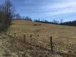 2018-03-26_20-52-24_51248262-07B8-44FD-99FF-D9AC115FB109.jpg