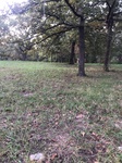 2020-10-02_07-37-46_2020-10-2-7-37-20.jpg