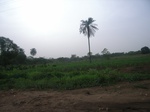 4061RIMG0365.JPG