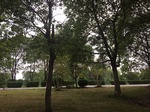 2017-09-12_03-39-46_C95E2E5A-767C-4226-9042-3BE6E503DC6D.jpg