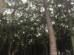 2017-09-10_06-56-12_3241A5BF-14CE-4262-9974-674235A2CBEA.jpg