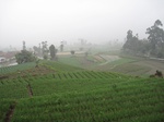 13577IMG_3829.JPG