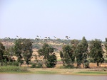 41248CIMG8085.JPG
