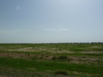 19246P1010092.JPG