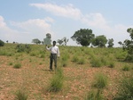 7779gt028a-shrubland-grassland.jpg