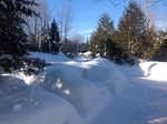 2017-02-22_12-11-36_Feb17-014-CAN.jpg