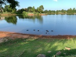 2020-07-17_08-21-16_2020-7-17-8-20-28.jpg