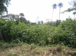 8949RIMG0023.JPG