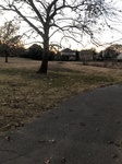 2020-12-10_17-20-48_2020-12-10-17-20-18.jpg