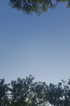 2020-08-23_19-05-48_2020-8-23-18-57-31.jpg