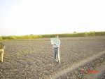 6479gt020-cropland-1.jpg