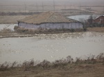 8505IMG_0330.JPG