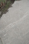 2020-10-01_19-16-40_2020-10-1-19-15-52.jpg