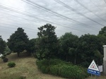 2017-09-10_06-44-38_20D555AE-2BBE-4AA9-B842-99F126E78C12.jpg