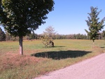 2012-10-05_19-36-54_VT-CL-5-West.JPG