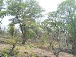 474501052008(12).JPG