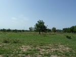 19291P1010137.JPG