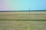2022-05-26_15-09-57_75BC0C39-755A-4938-BB6E-87AF0E25A748.jpeg